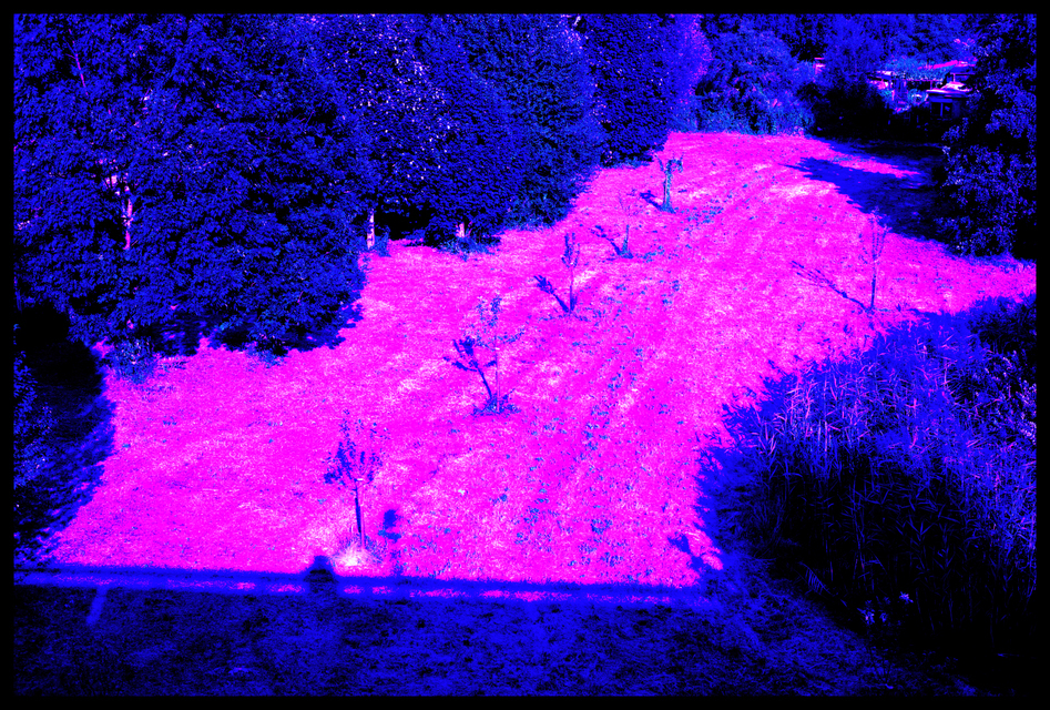 Dreaming - ID 004533