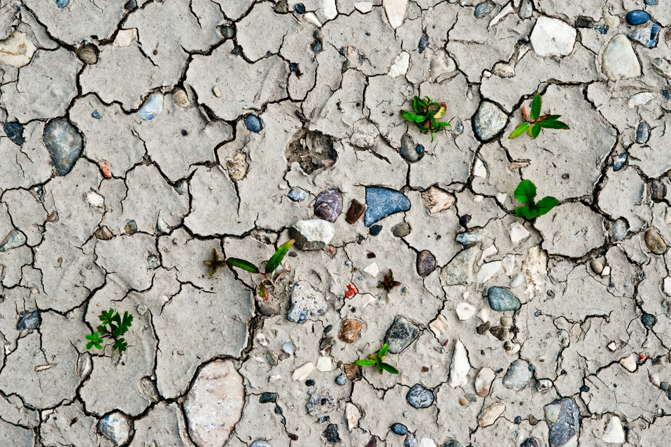 Dry Ground III - ID 004541