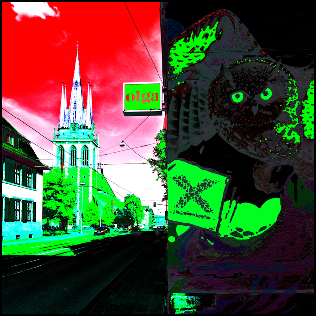 Olga Owl - ID 004586