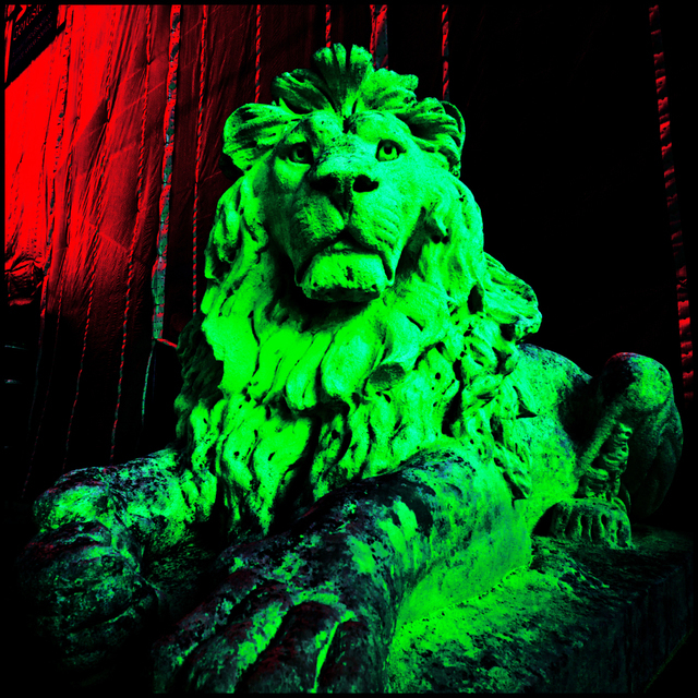 Majesty Lion - ID 004591