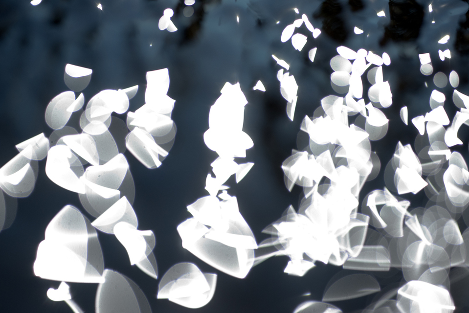 Water Play I - ID 004616