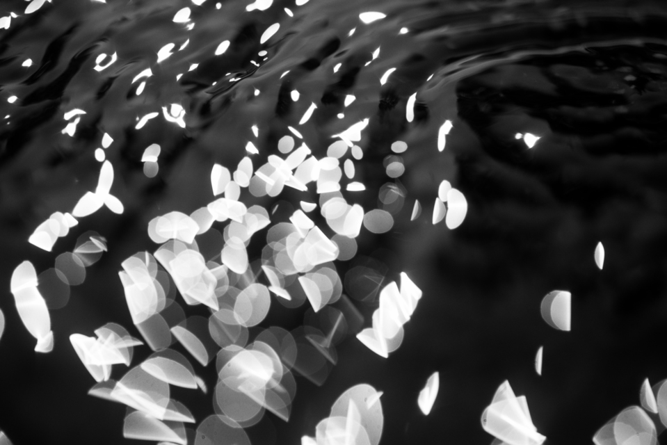 Water Play II - ID 004617