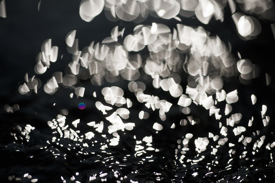 Water Play VII - ID 004622