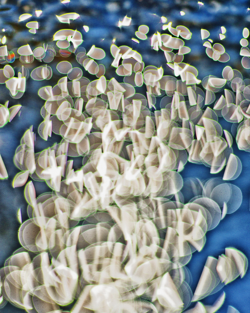 Water Play VIII - ID 004623