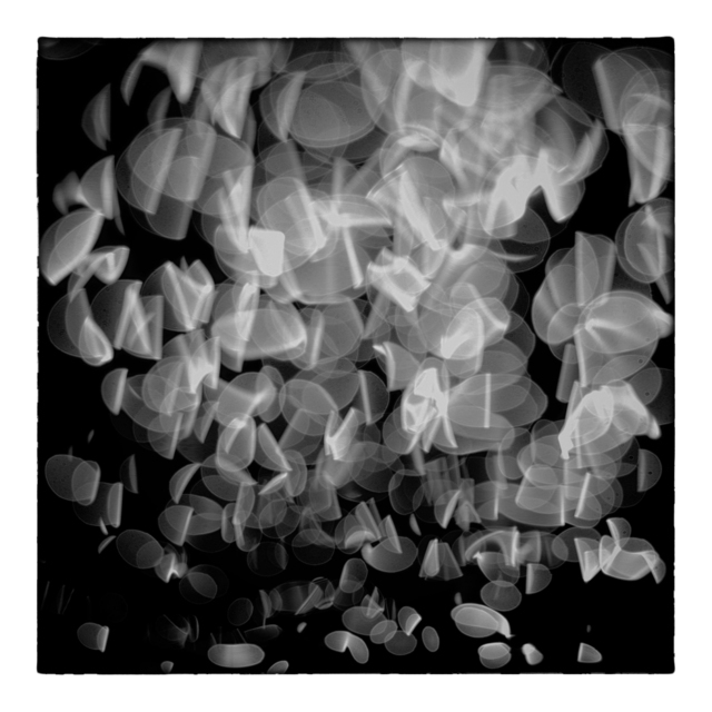 Water Play IX - ID 004624