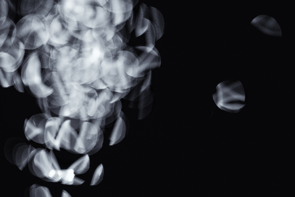 Water Play XV - ID 004630