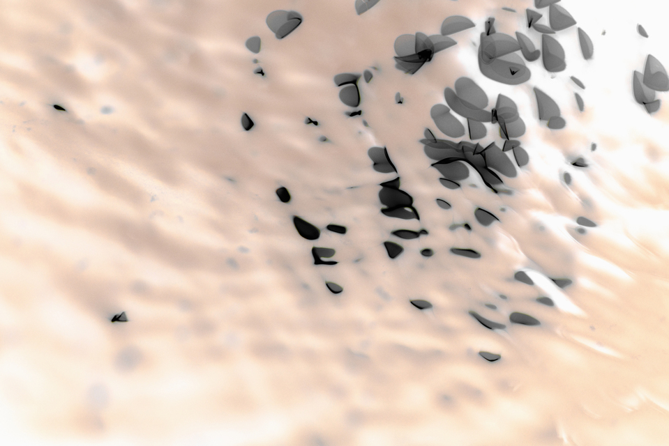 Water Play XVI - ID 004631