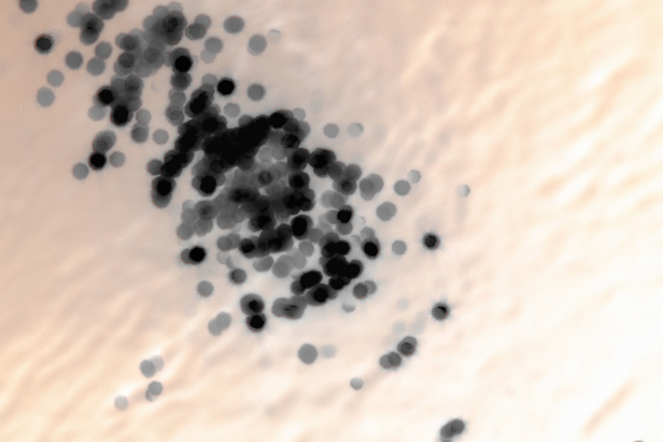 Water Play XVIII - ID 004633