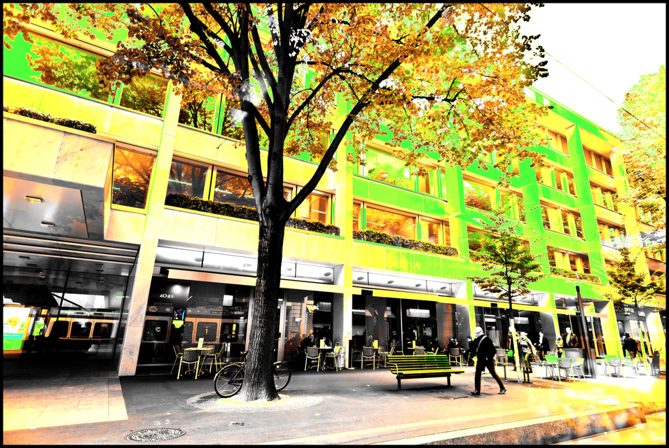 Yellow ZH II - ID 004665