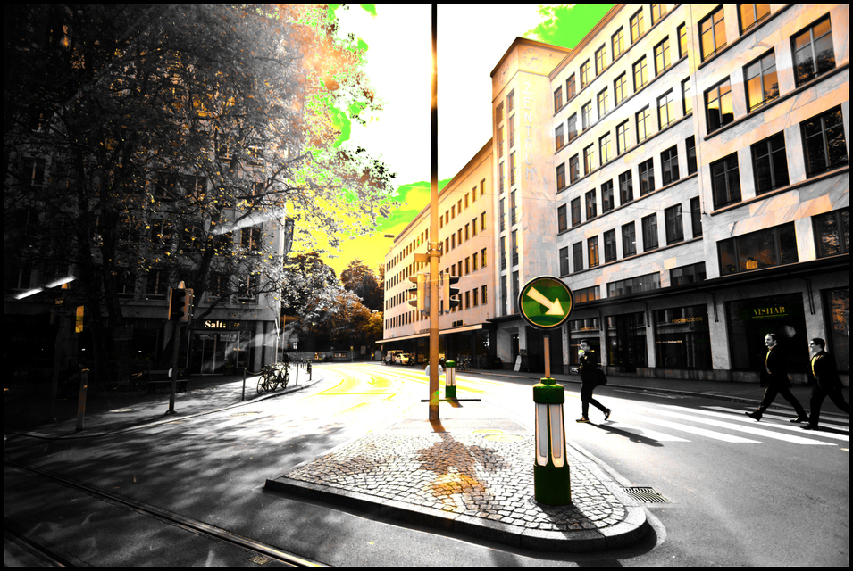 Yellow ZH VI - ID 004669