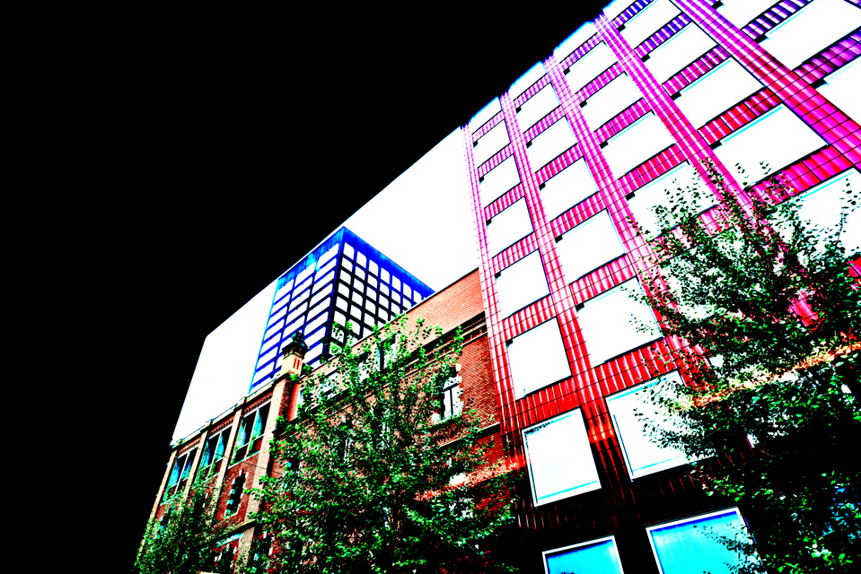 ZH Tram Trip III - ID 004729