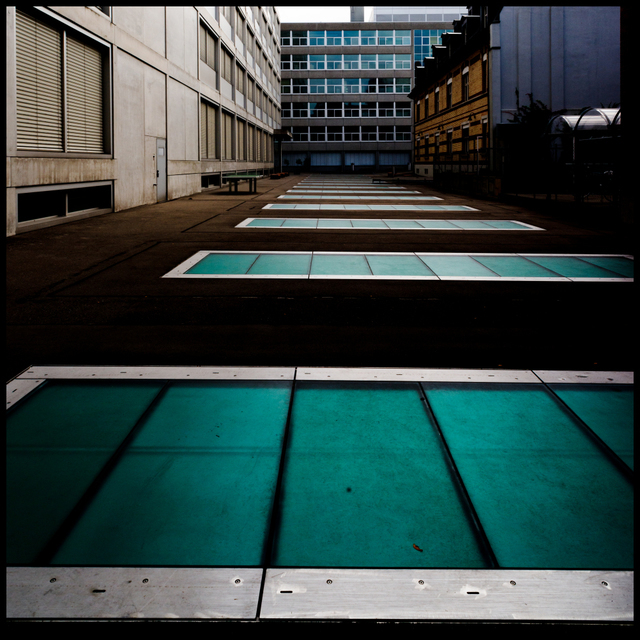 Backyard I - ID 004780