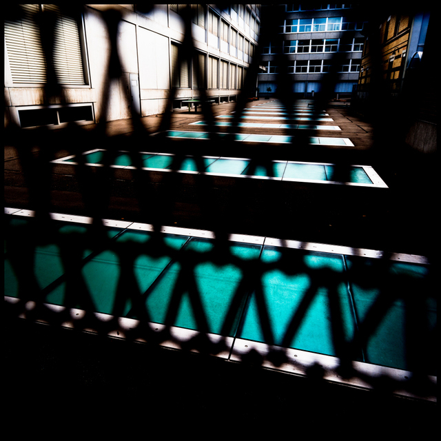 Backyard II - ID 004781