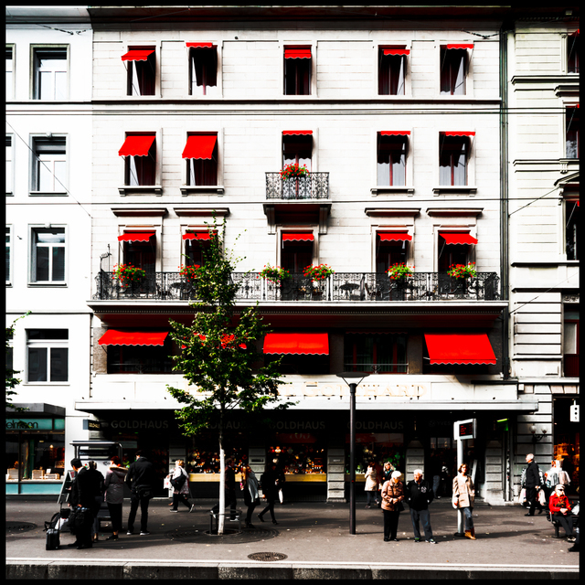 Red Brows II - ID 004794