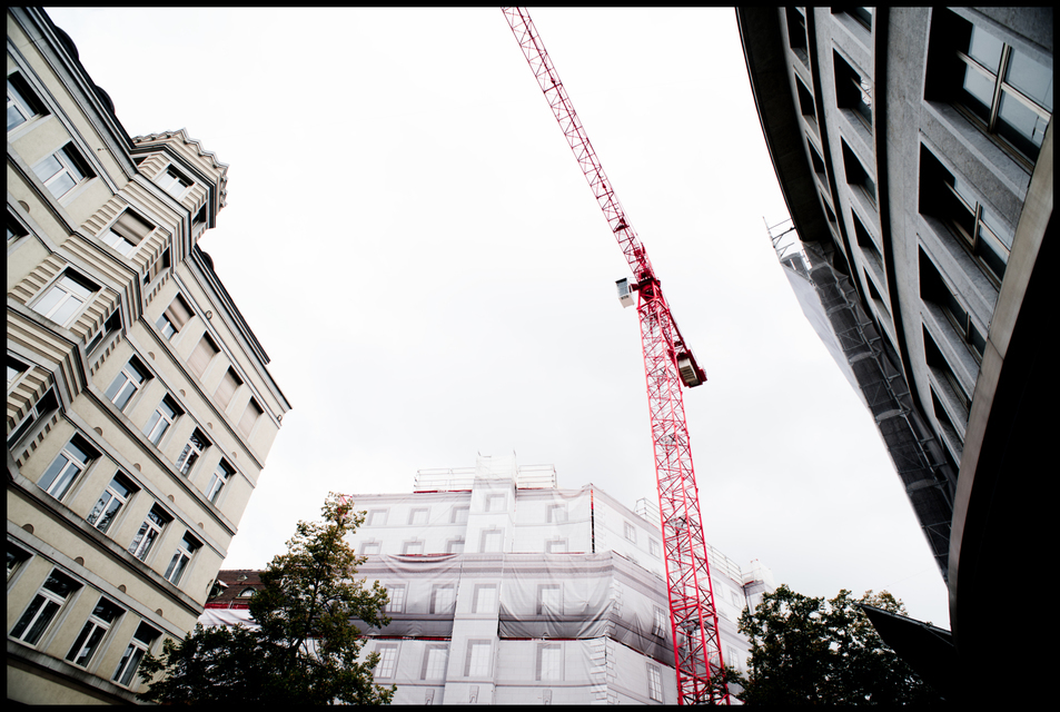 Red Crane - ID 004813