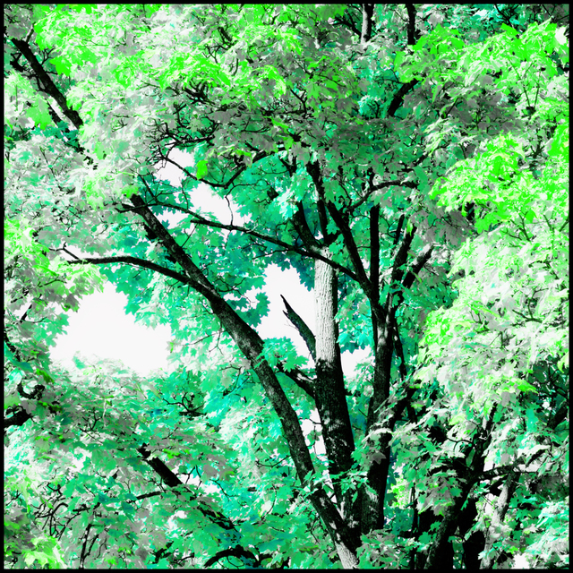 Artifical Green - ID 004843