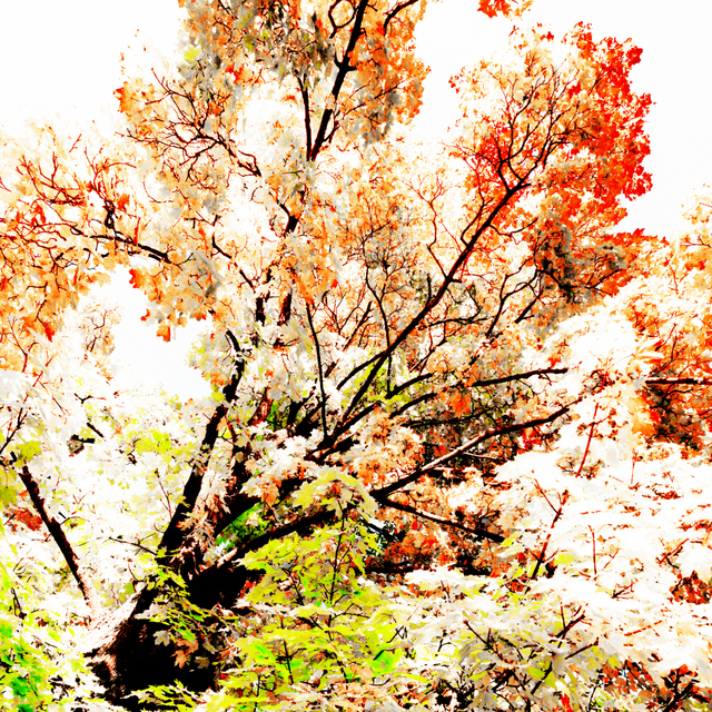 Artifical Red - ID 004844