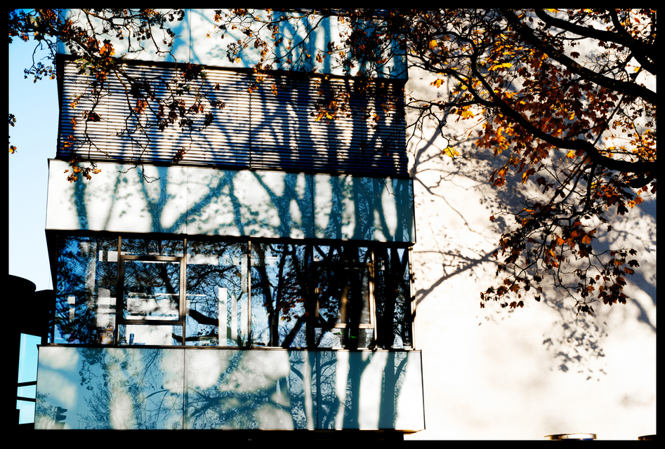 Blue Shadows - ID 004868