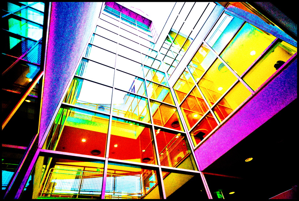 Color of White - ID 004925