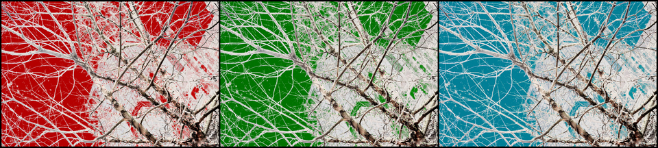 Winter Color - ID 004929