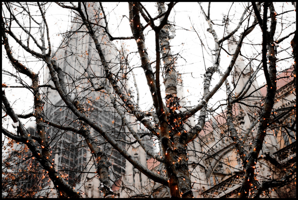 Winter Grey II - ID 004930