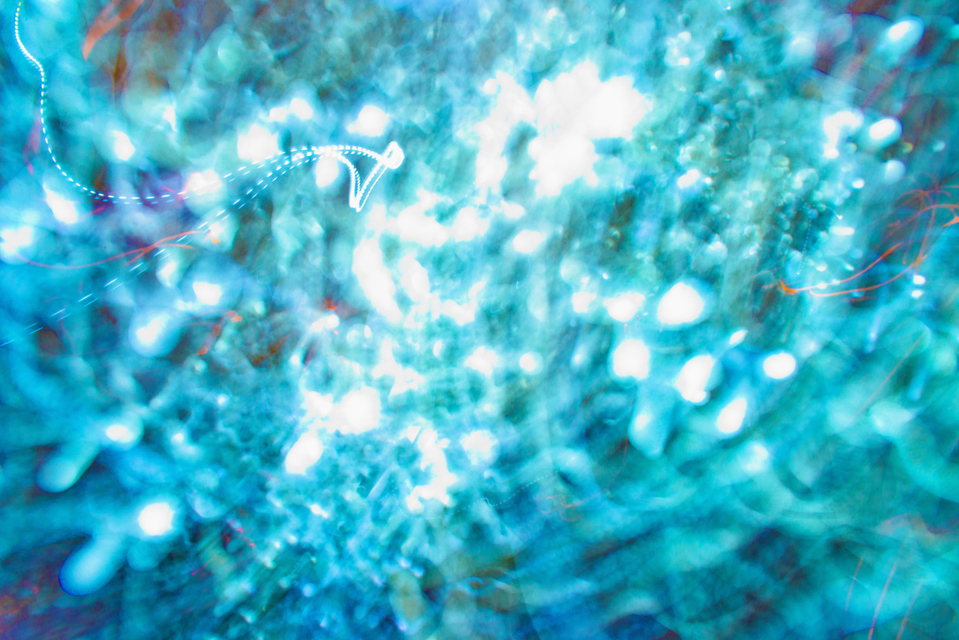 Galaxy 2312 - ID 004969