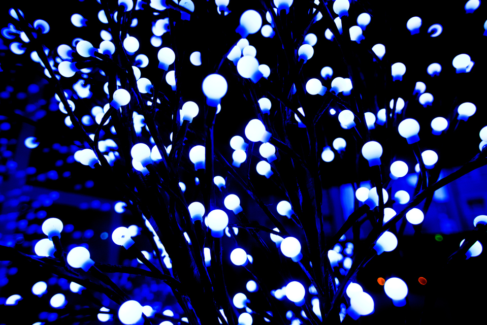 Blue Light Dark - ID 004977