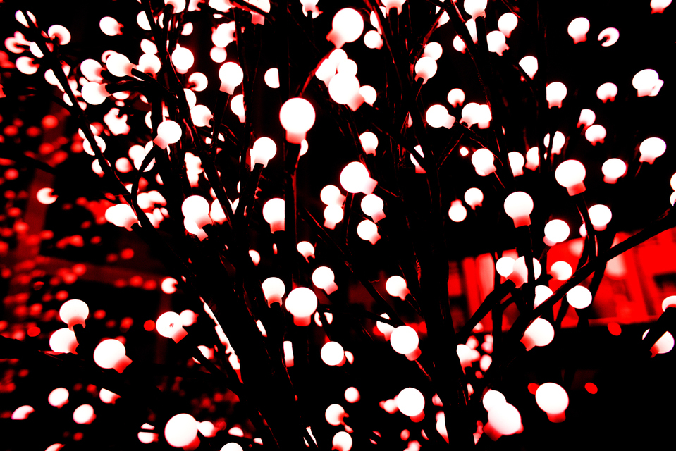 Green Light Dark - ID 004978