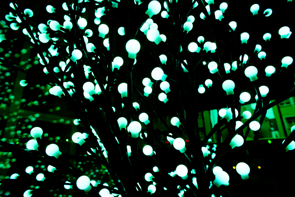 Red Light Dark - ID 004979