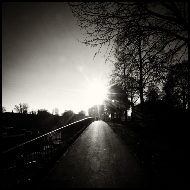 Against the Sun - ID 005025