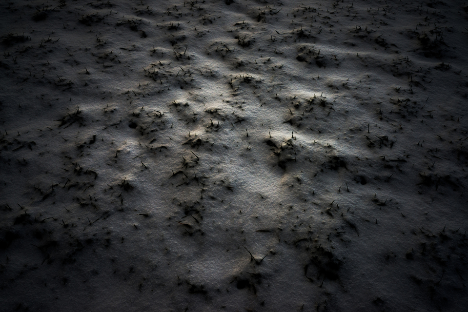 Snow Color V - ID 005034