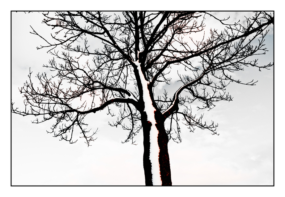 I Am Here - ID 005042