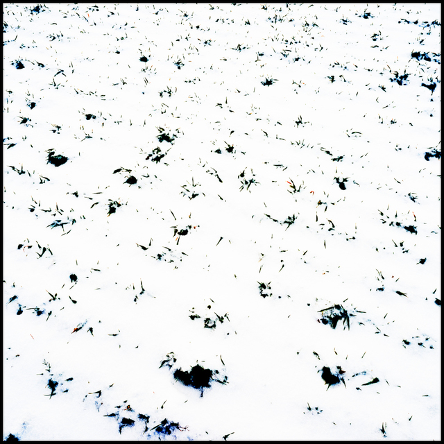 Incomplete White I - ID 005043