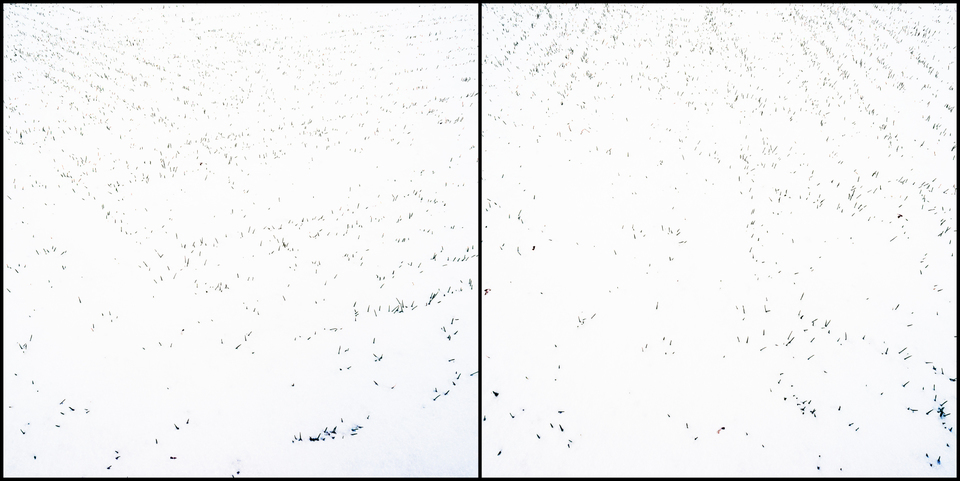 Minimal White - ID 005045