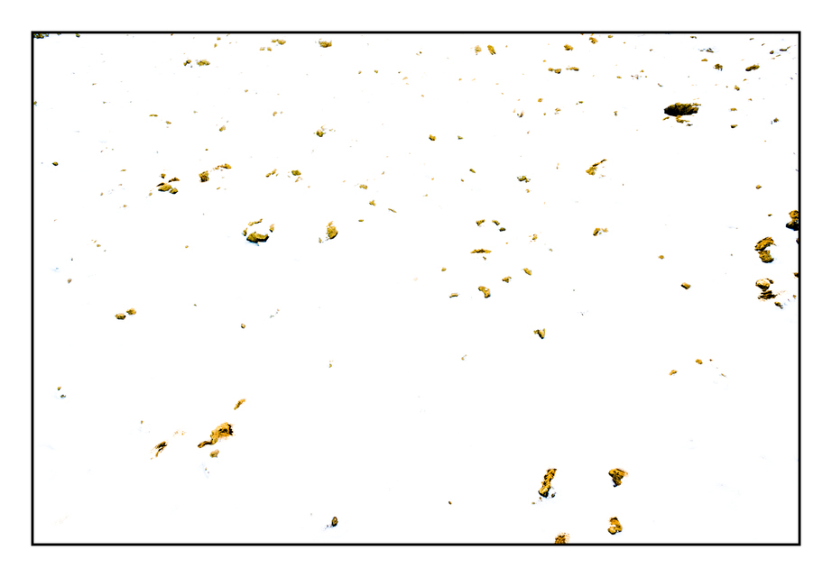 Last Soil II - ID 005049