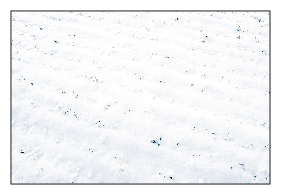 Spring is Coming - ID 005051