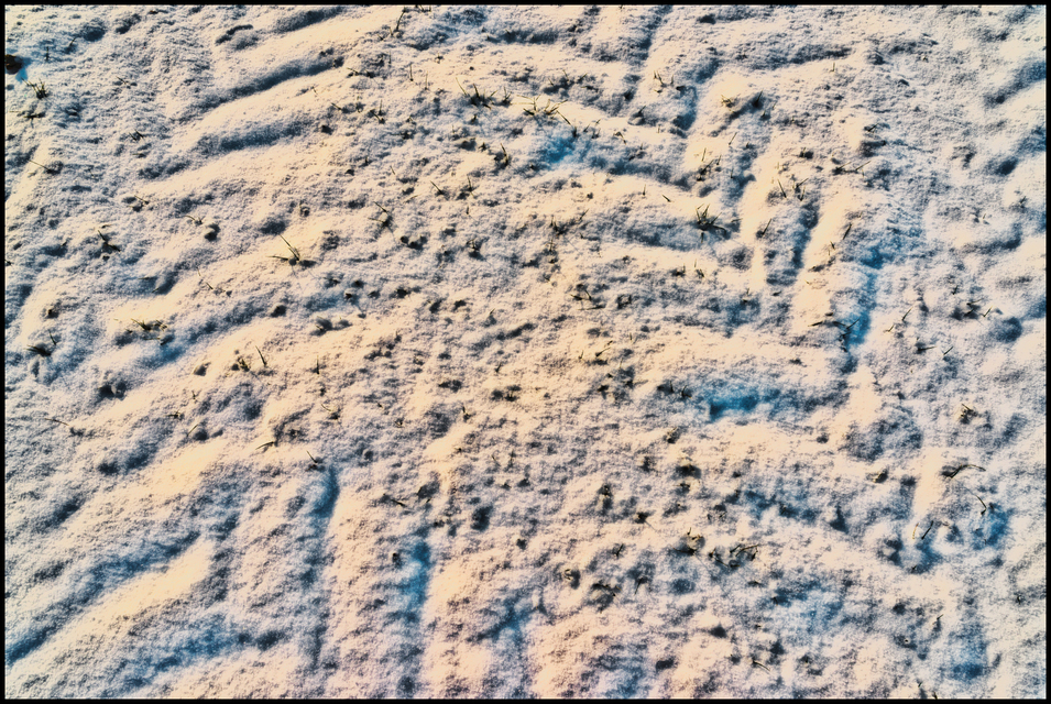 Snow Afternoon - ID 005053