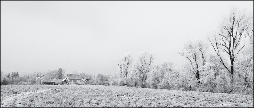 Winter Scene - ID 005073