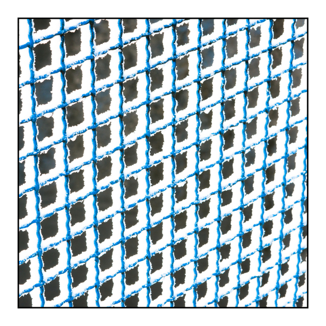 Snow Fence I - ID 005080