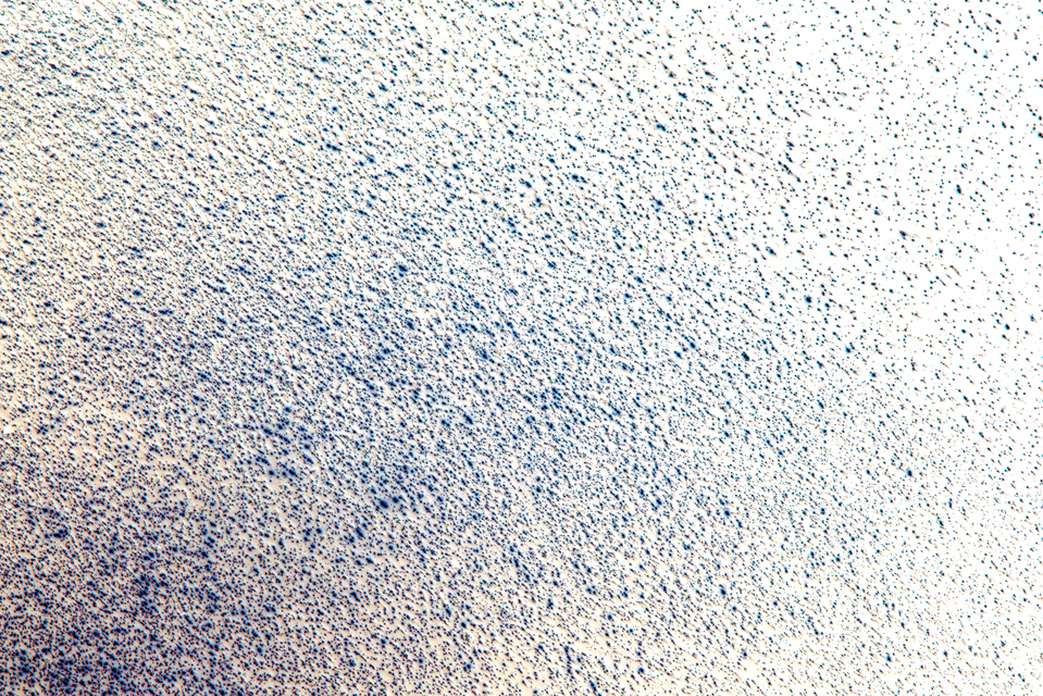 Blue Starfield II - ID 005105