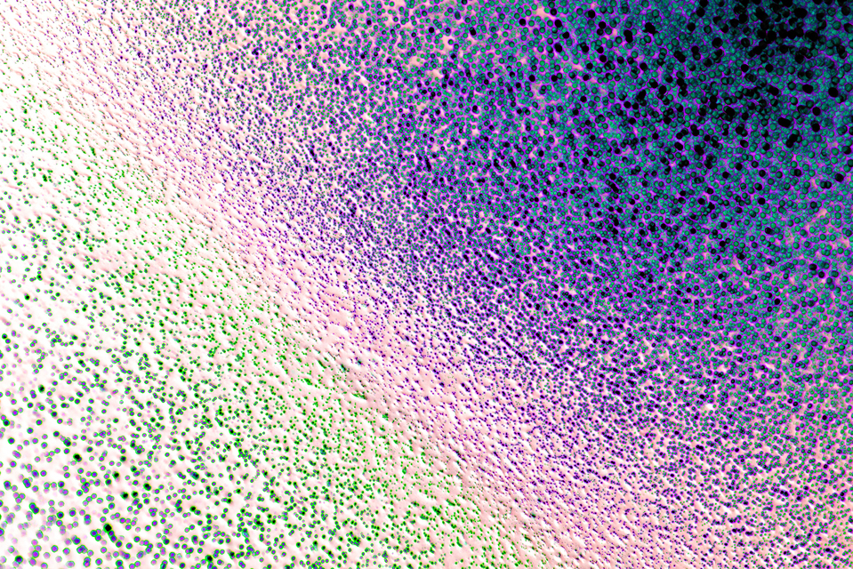 Color Bubbles I - ID 005106