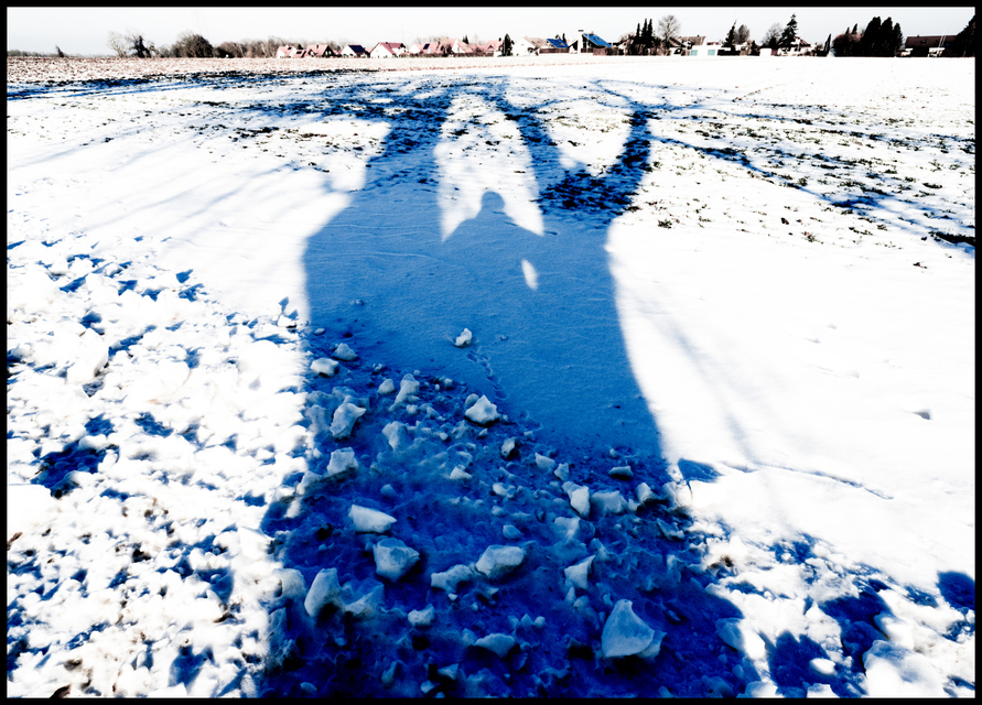 Blue Shadow - ID 005109