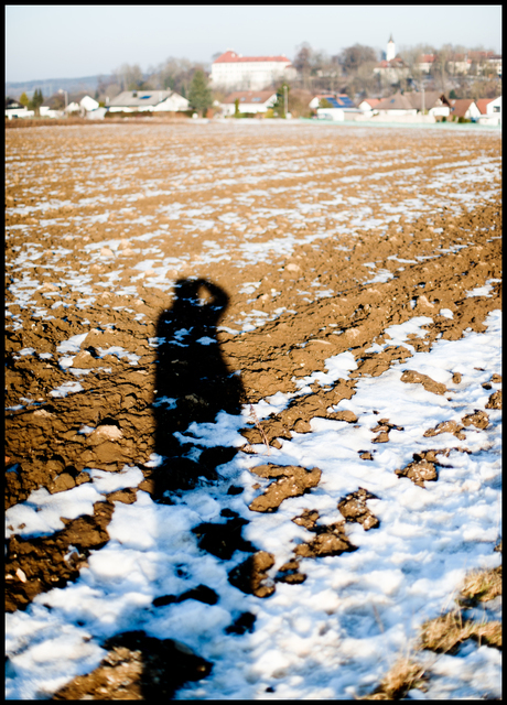 Winter Sunday Afternoon - ID 005113