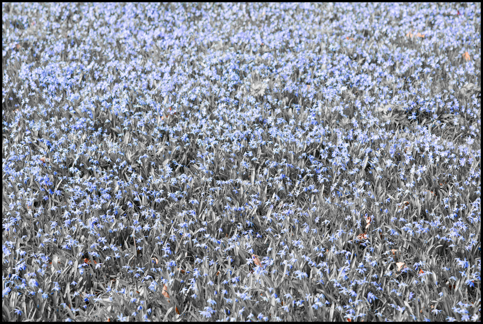 End of Gray Times - ID 005138