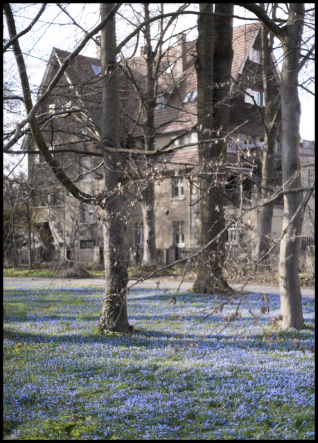 Starting Green - ID 005142