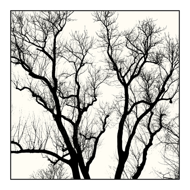 Waiting for the Spring - ID 005146