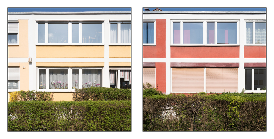 Two Colors - ID 005147