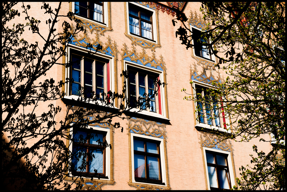 Townhall Windows - ID 005156