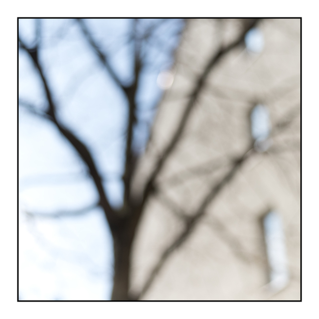 Tree and House - ID 005158