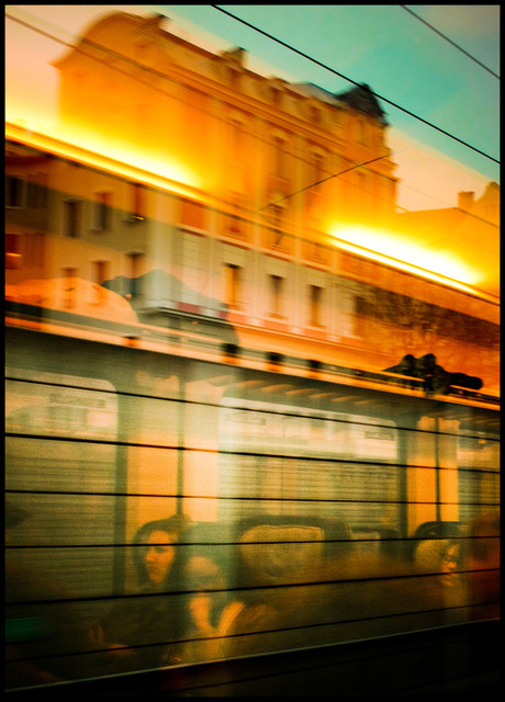 Morning Race - ID 005183